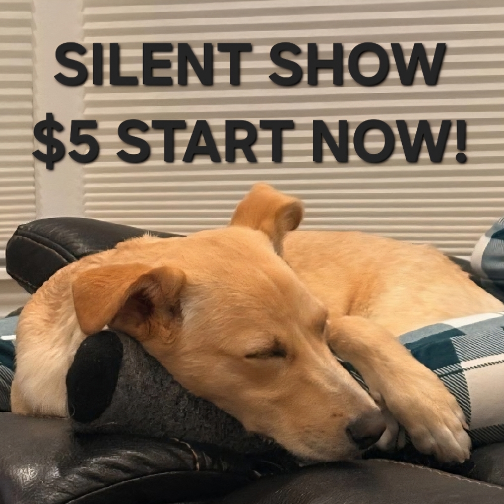 Flyer! SAVE! NOW! SILENT SHOW RUNNING $5 Starts